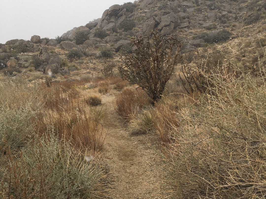 Piedra Lisa Trail-Tijeras必去景点