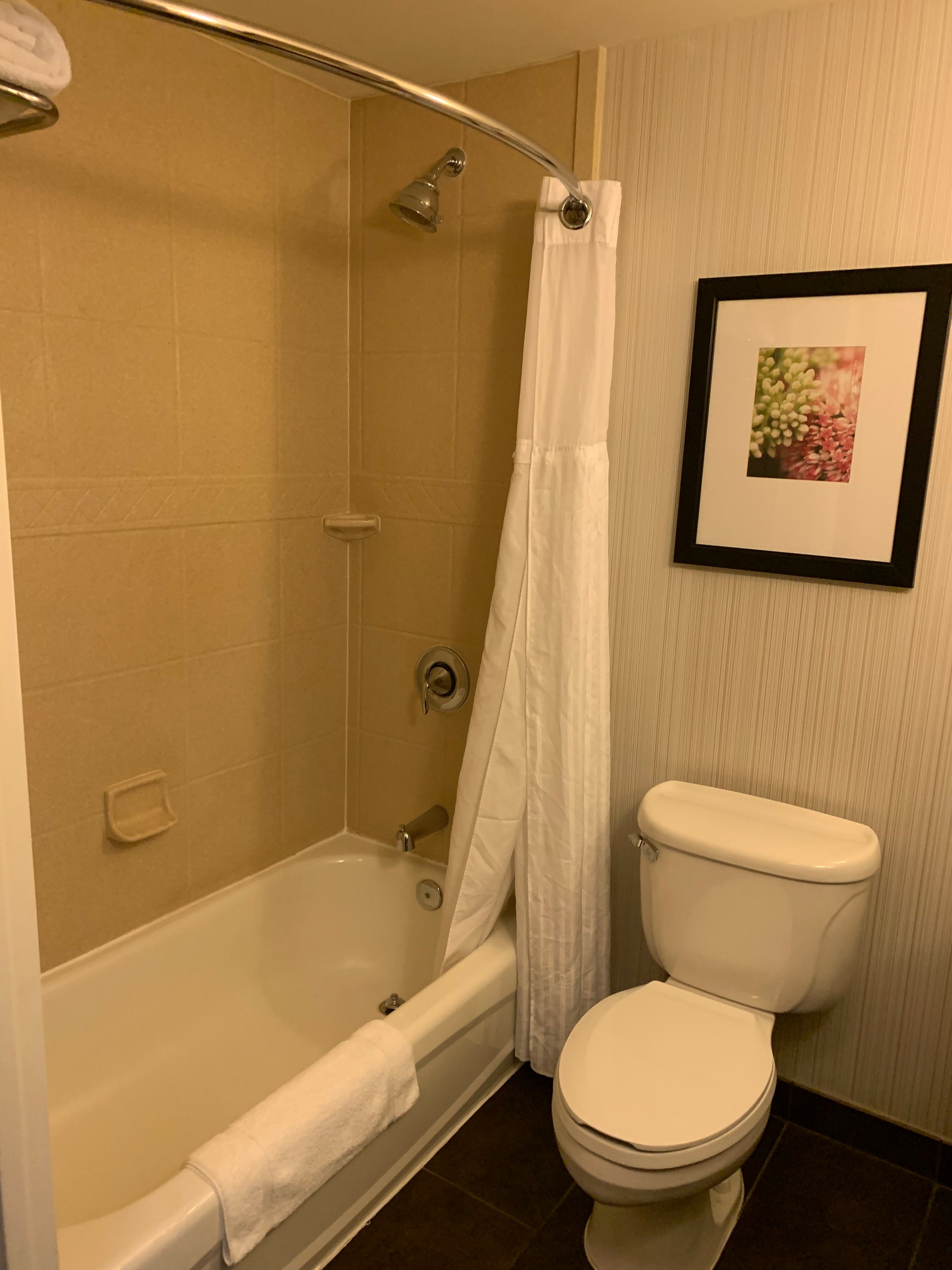 博卡拉顿希尔顿花园酒店-浴室