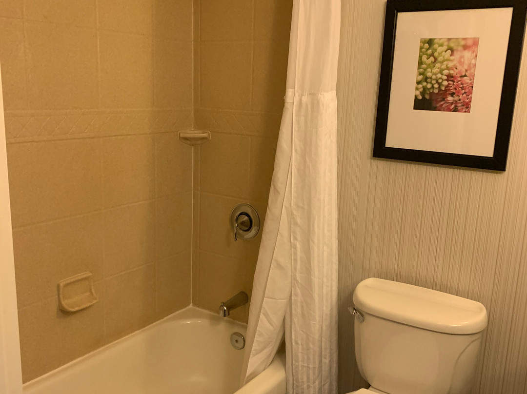 博卡拉顿希尔顿花园酒店主图