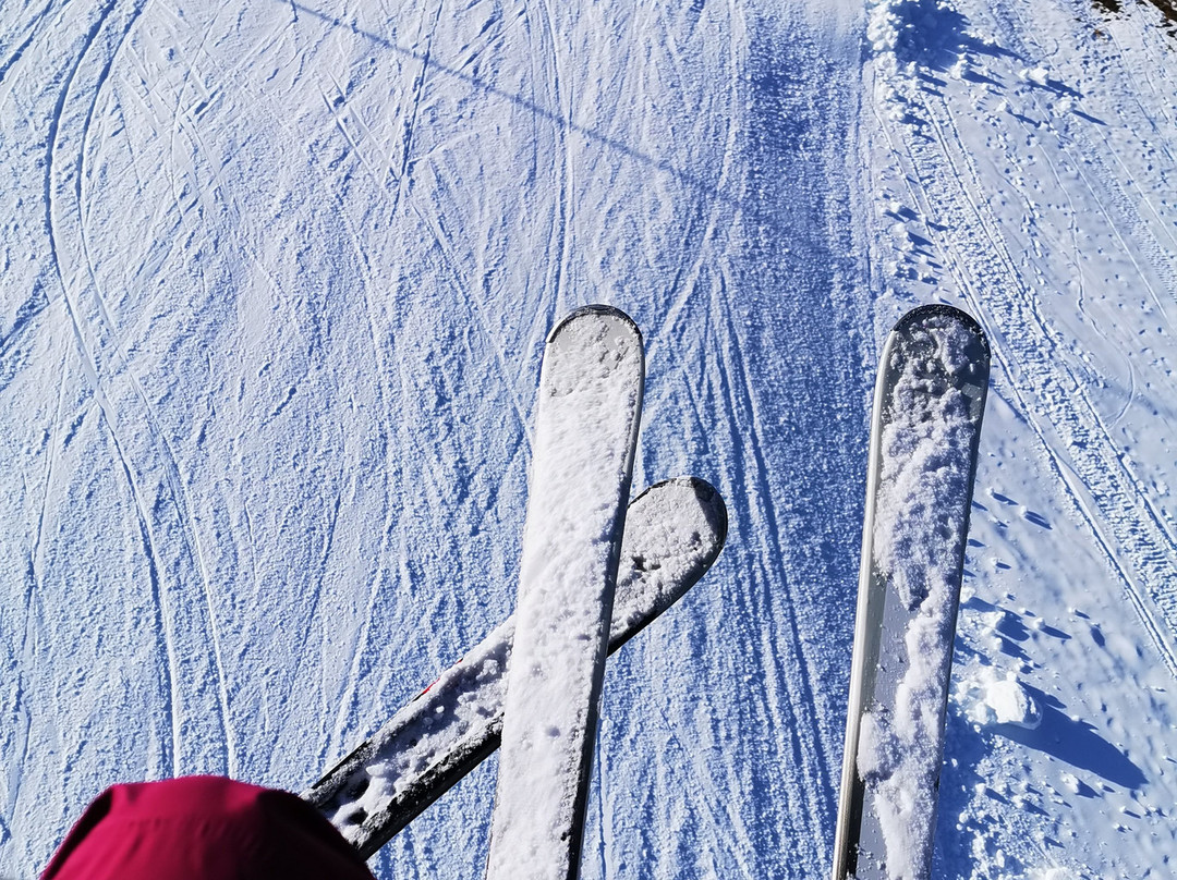 Ski school OREL-Kranjska Gora必去景点