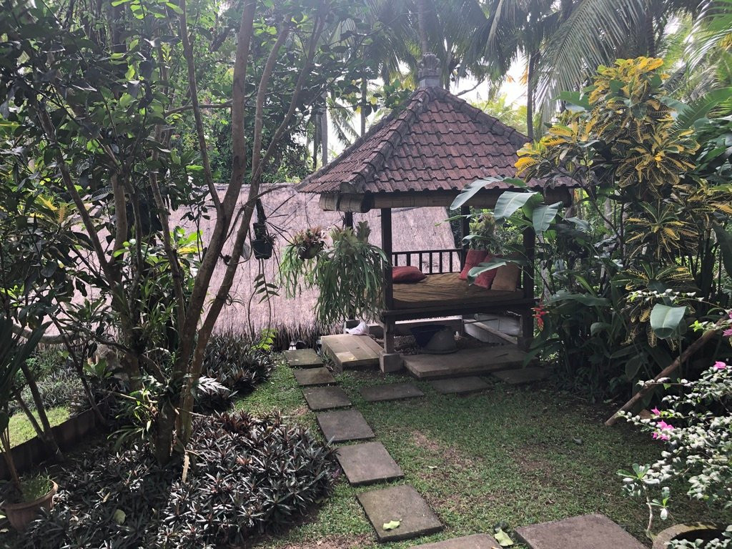 The Yoga House主图