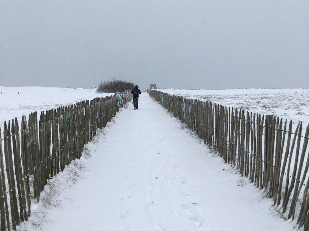 Beach of Tarnos-Tarnos必去景点