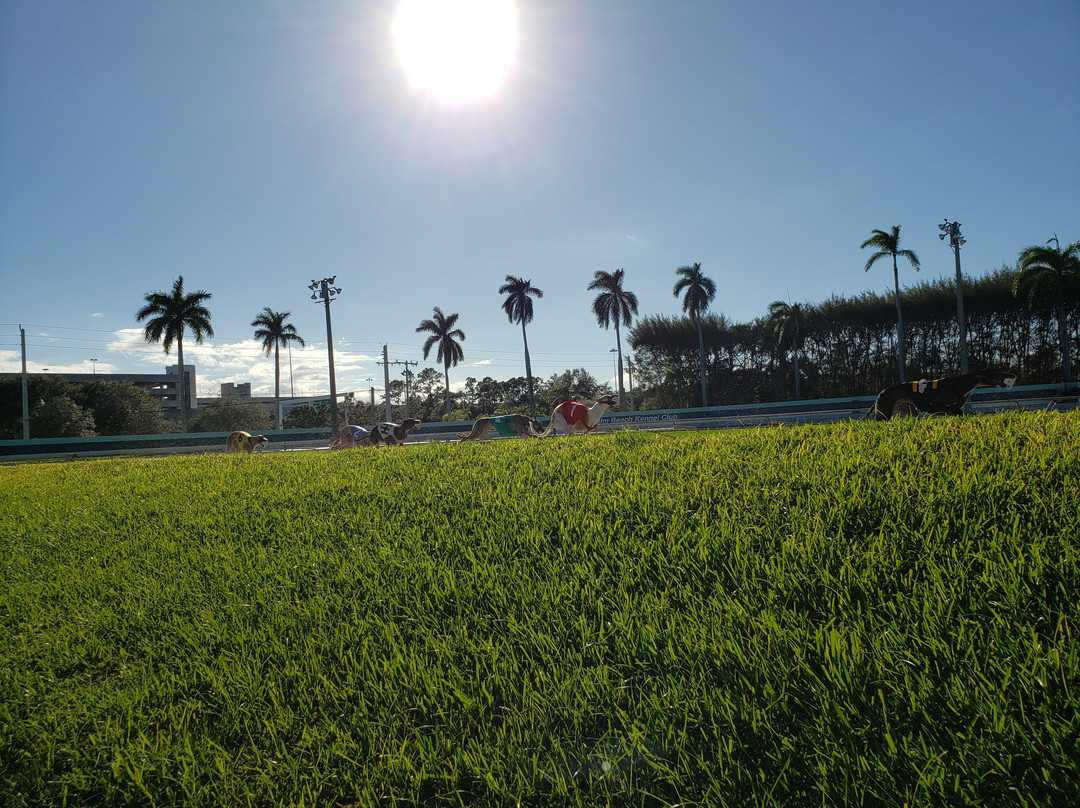 PBKC at Palm Beach Kennel Club景点图片