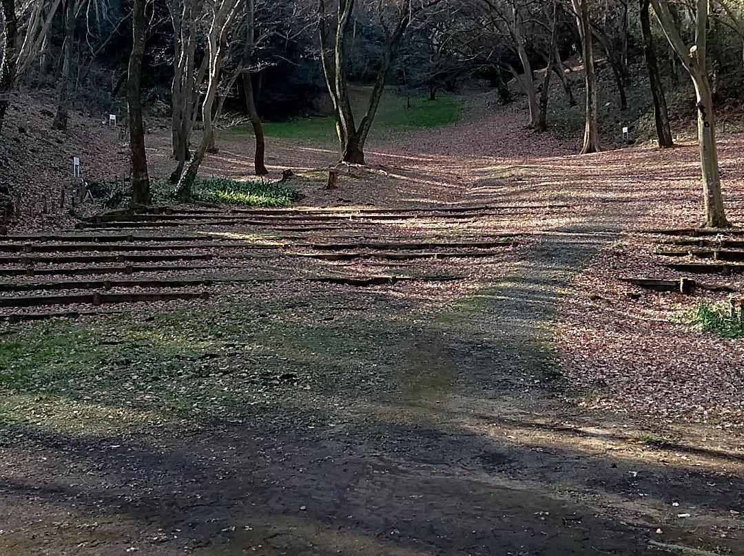 Shiroyama Park-稻城市必去景点