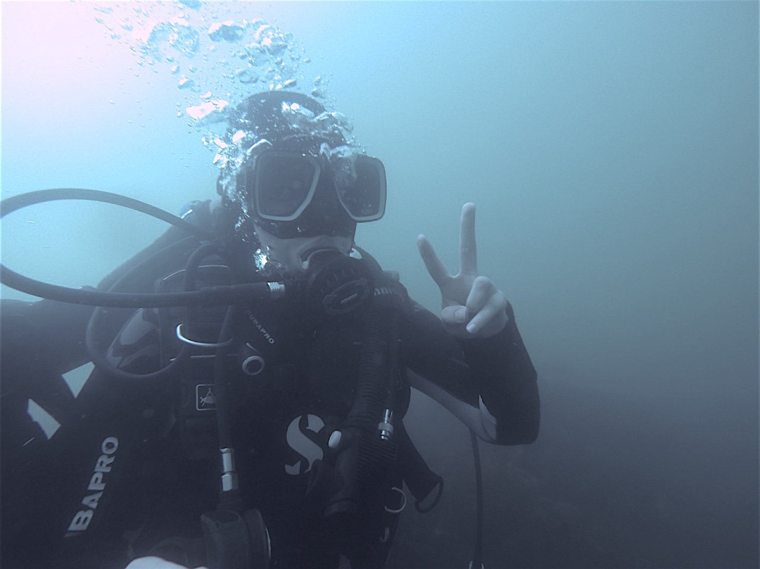 Atacama Diving. Centro de Buceo-Bahia Inglesa必去景点