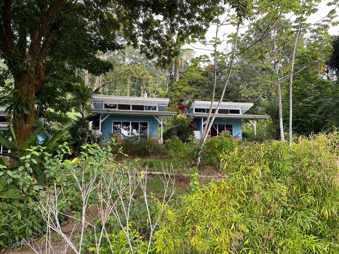 Tree of Life Cabinas主图