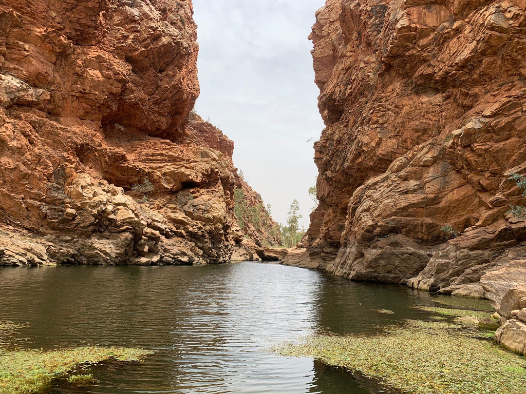 Ellery Creek Big Hole-爱丽斯泉必去景点