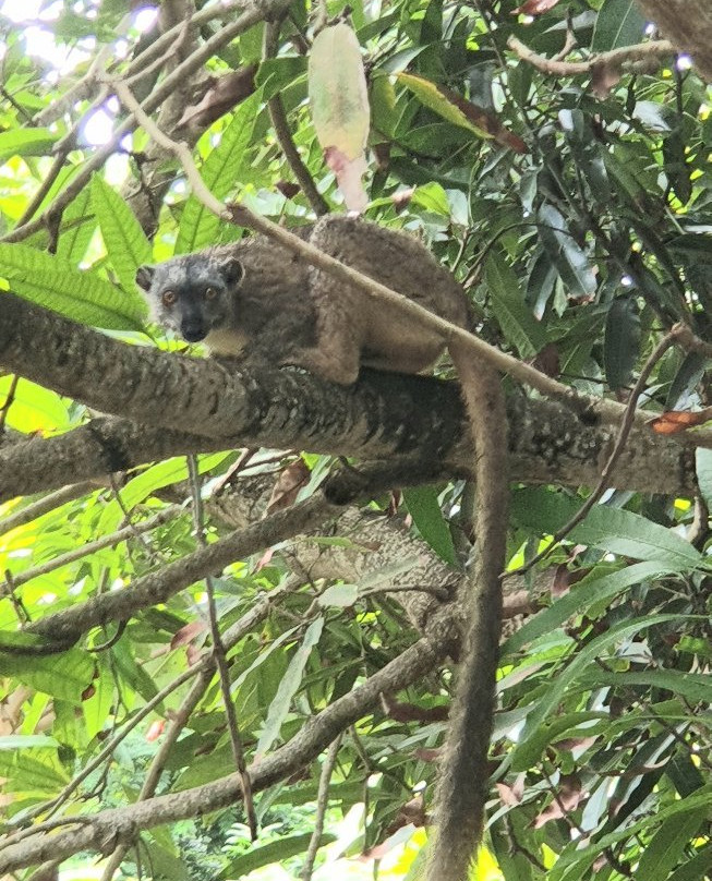 Boueni旅游攻略图片