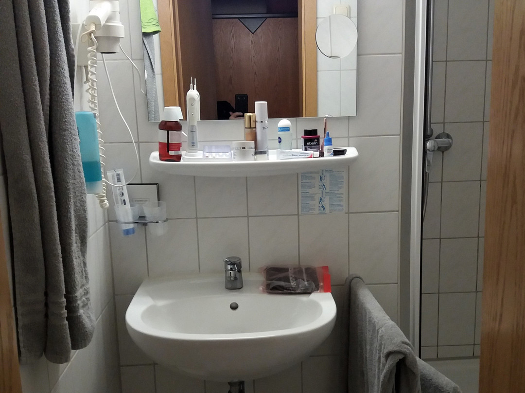 Waldhotel Berghof主图