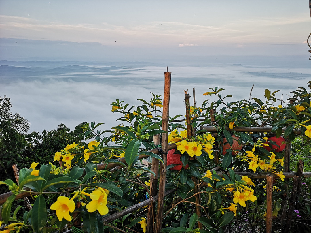 Bukit Taisho Bahau-Bahau必去景点