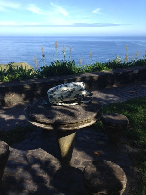 Pineapple Tours-蓬塔德尔加达必去景点