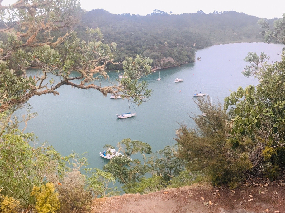 Whitianga Rock Walk景点图片