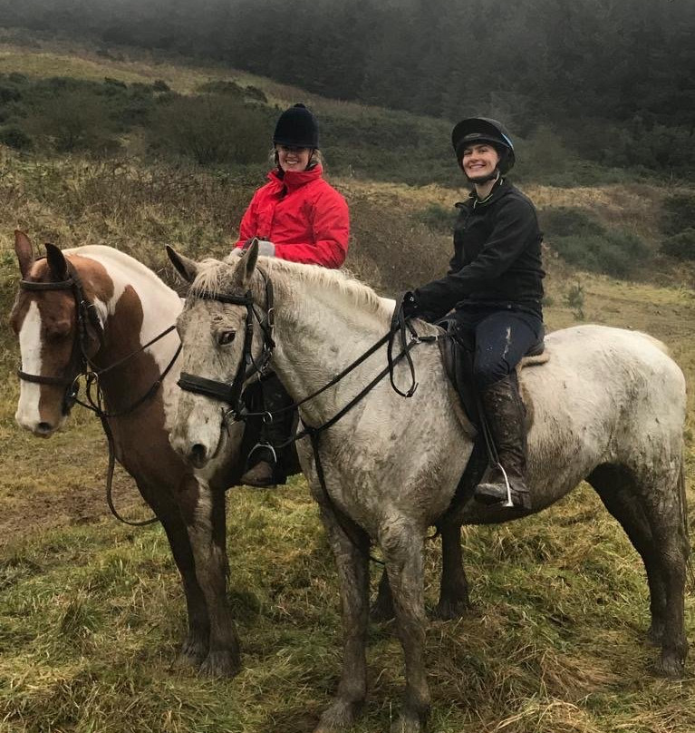 Devil's Bit Pony Trekking-Templemore必去景点