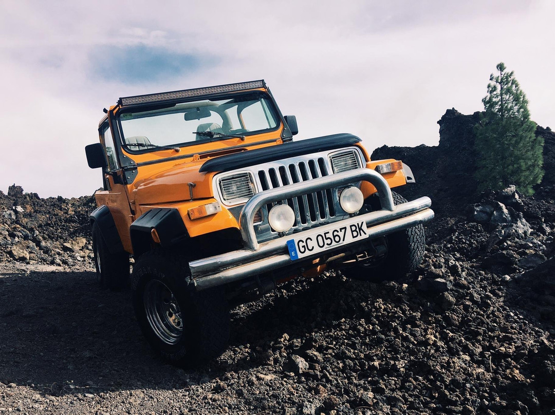 Buggy Quad Tenerife-美洲海滩必去景点