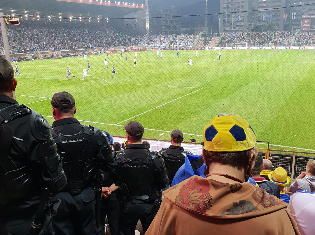 Stadium "Bilino polje"景点图片