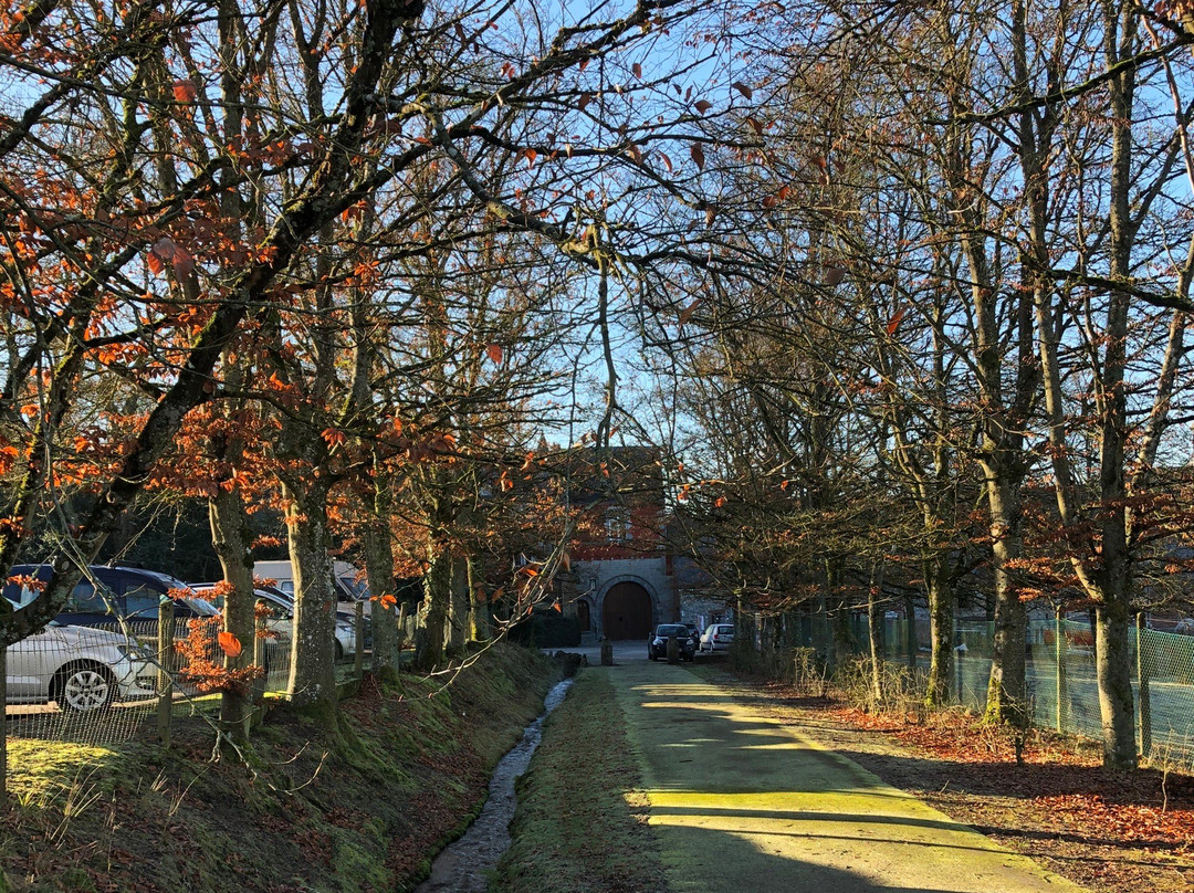 Abbaye Notre-Dame de Saint-Remy景点图片