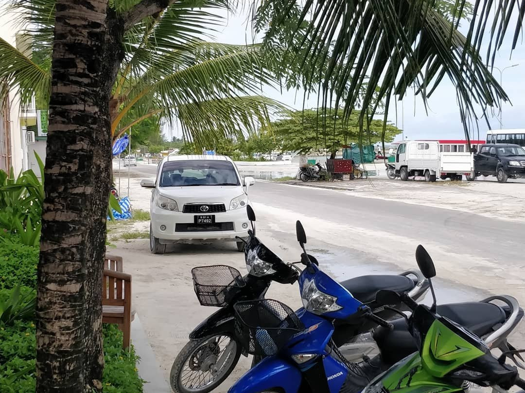 3S Divers Home主图