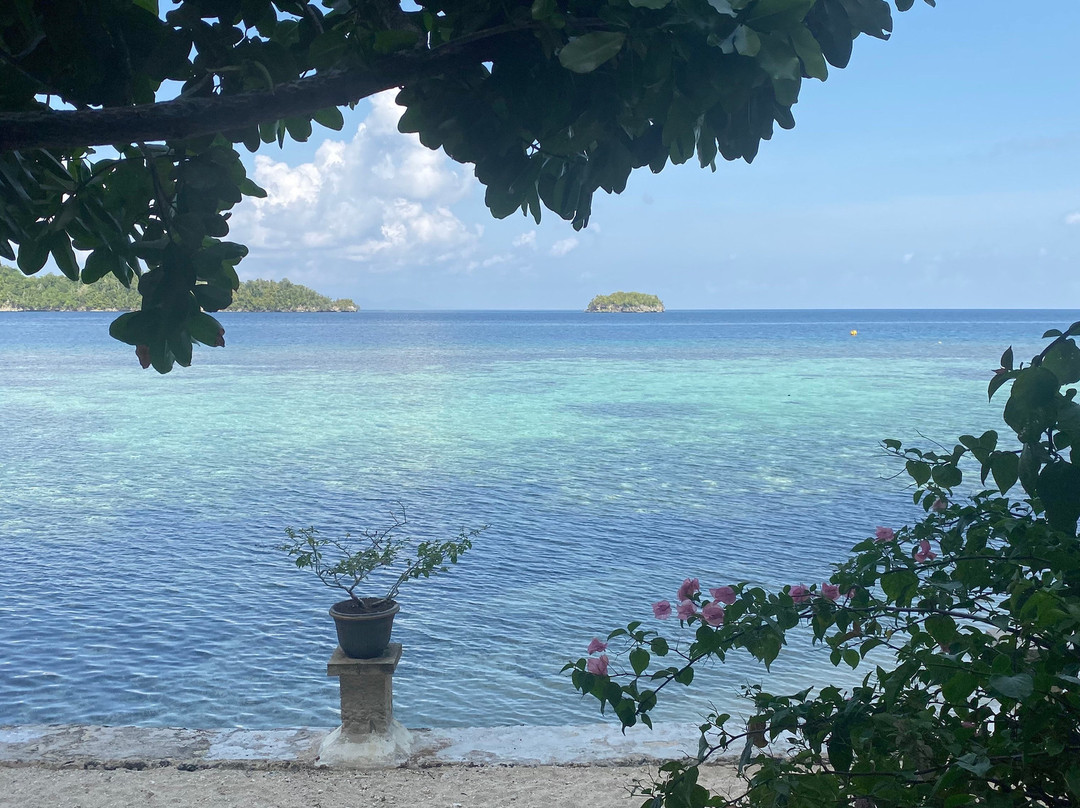 Black Marlin Dive Resort主图