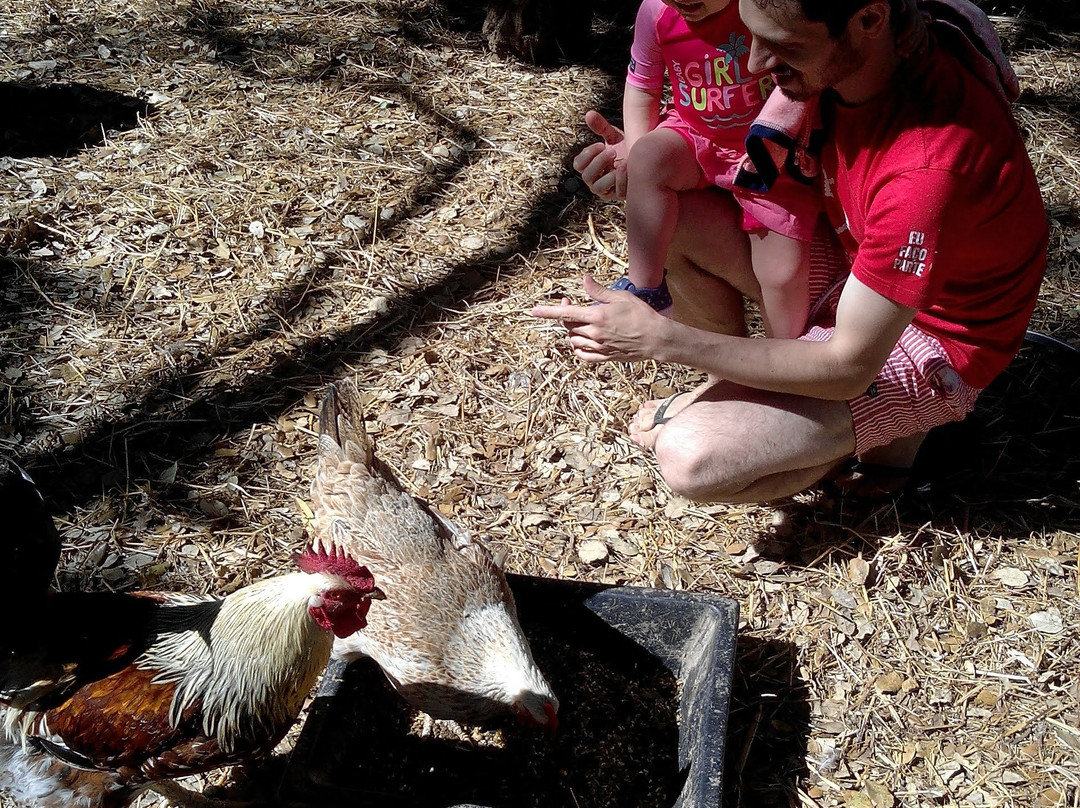 Quinta da Samoqueirinha主图