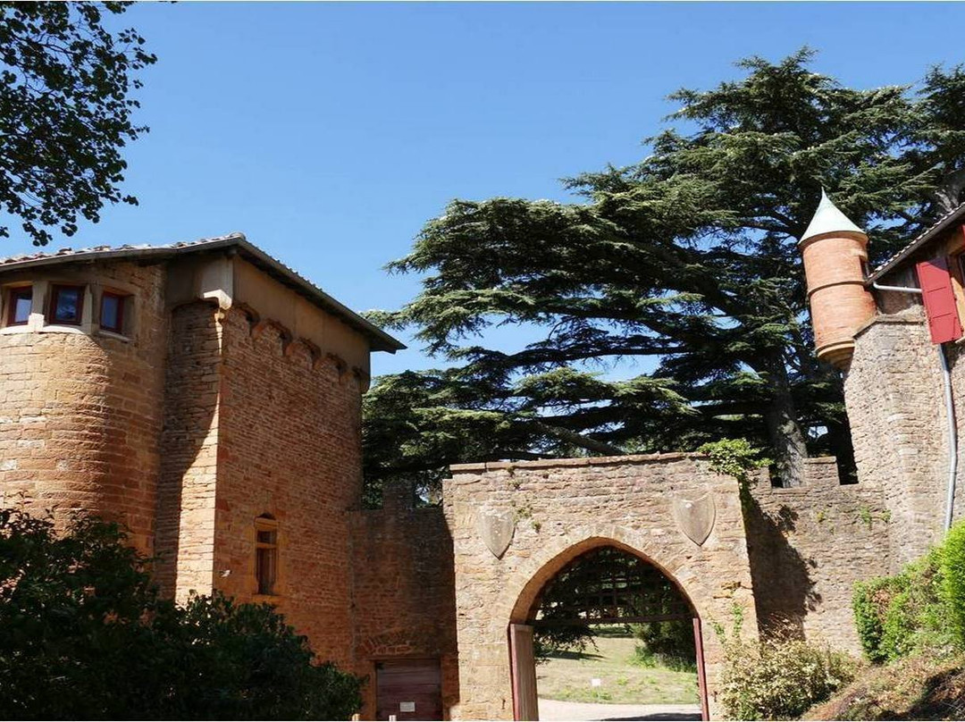 Chateau de Montmelas景点图片