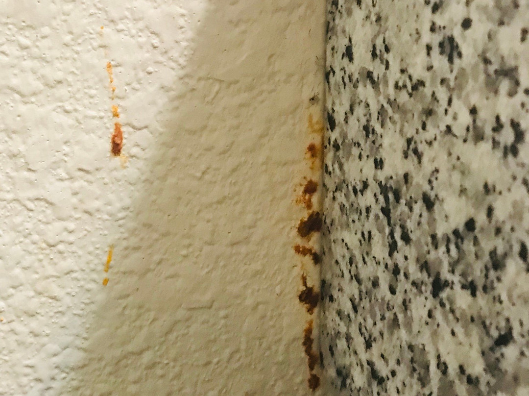 Quality Inn & Suites主图