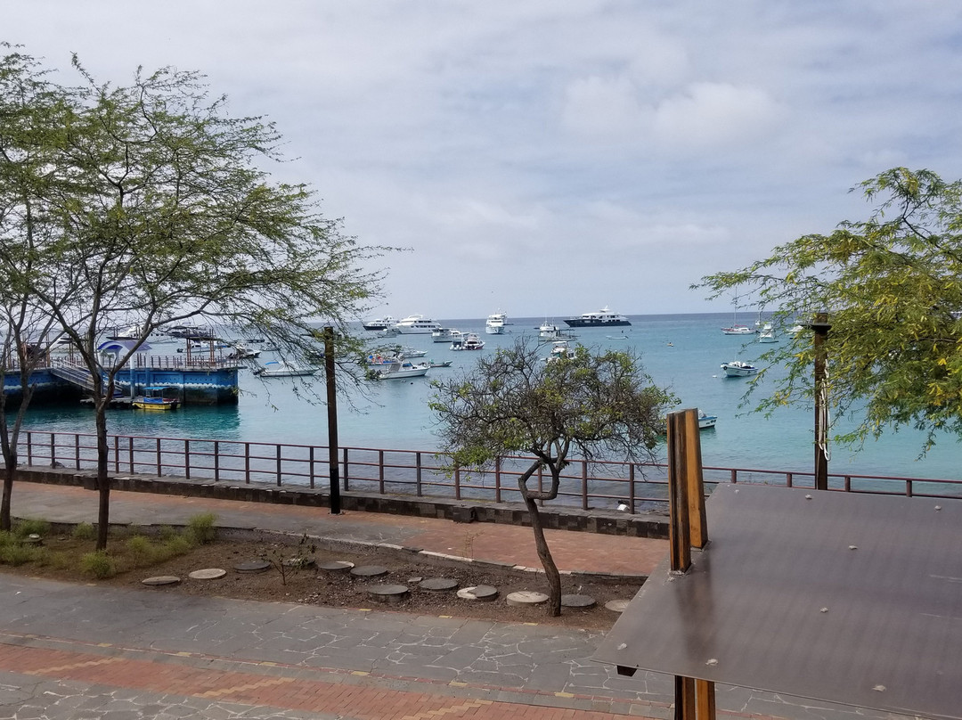 Casa Opuntia Galapagos主图