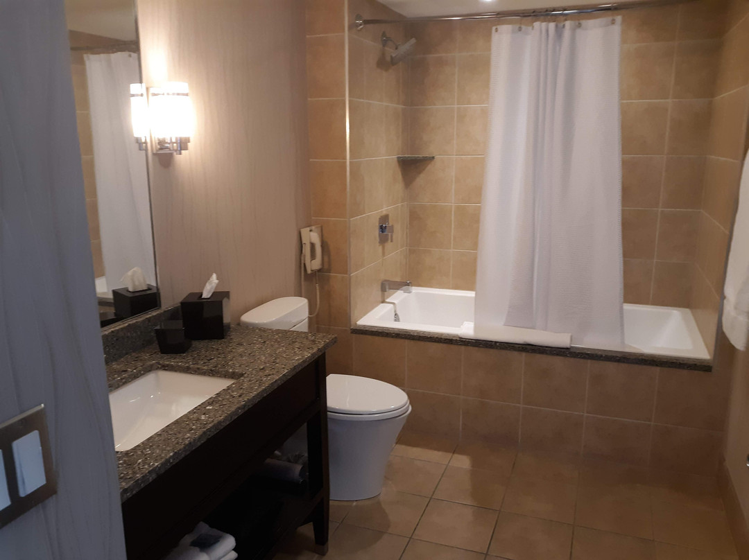 voco The Tiger Hotel Columbia by IHG主图