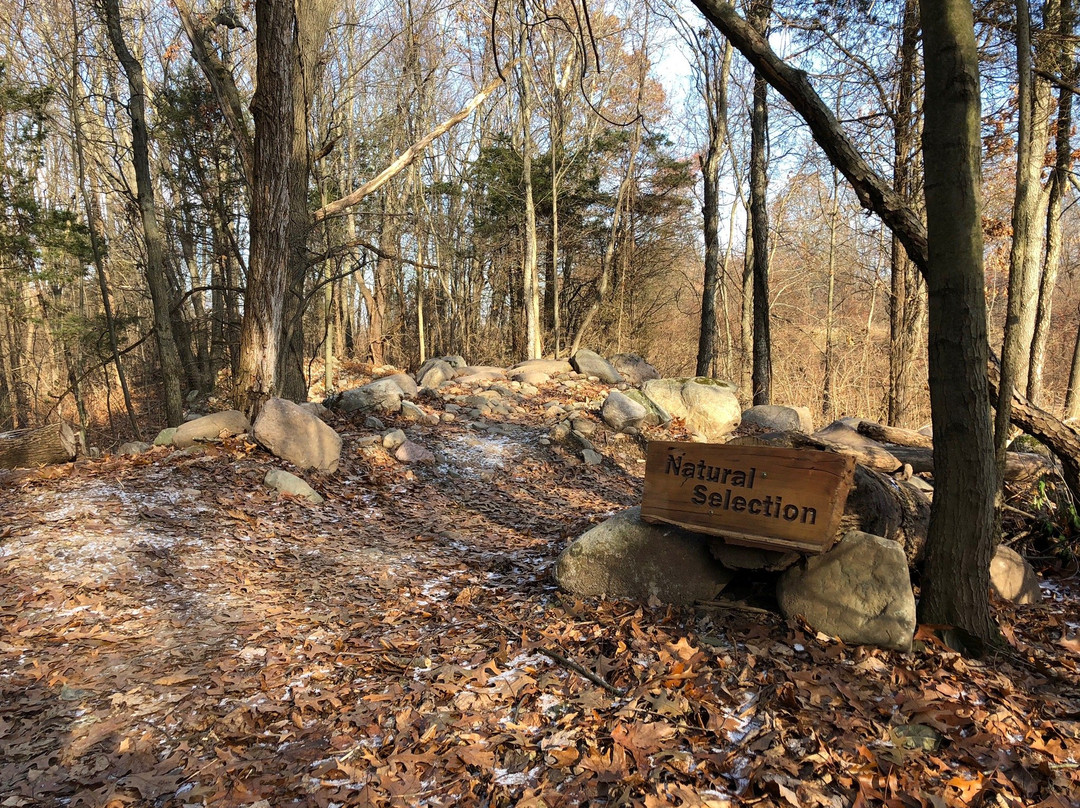 DTE Energy Foundation Trail-Chelsea必去景点