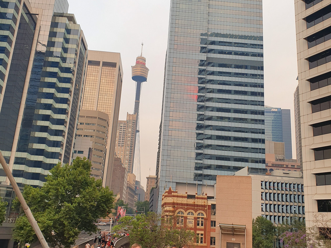 Pyrmont Bridge-悉尼必去景点