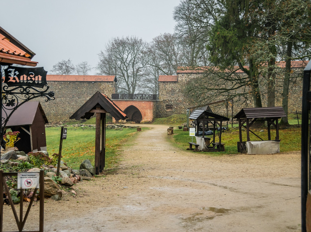 Medininkai Castle景点图片