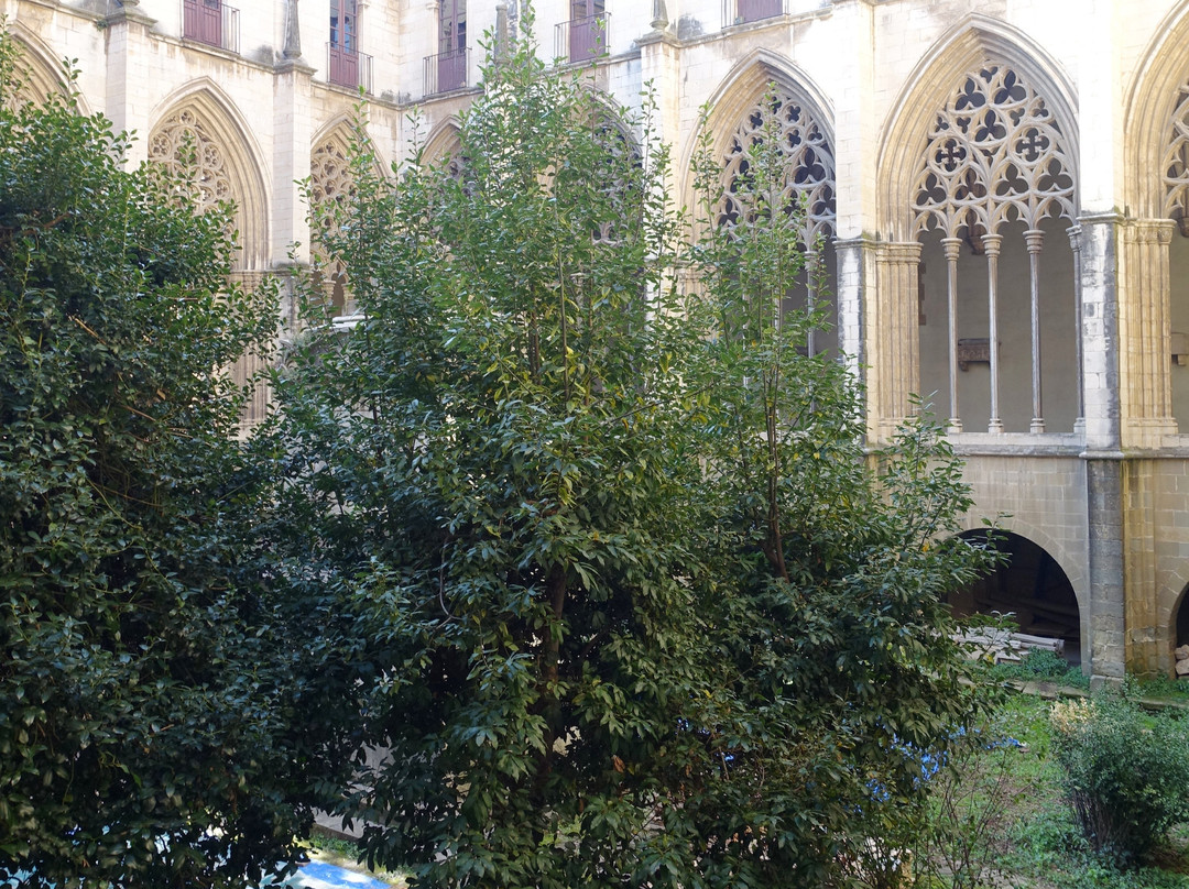 Catedral de Sant Pere de Vic-维克必去景点