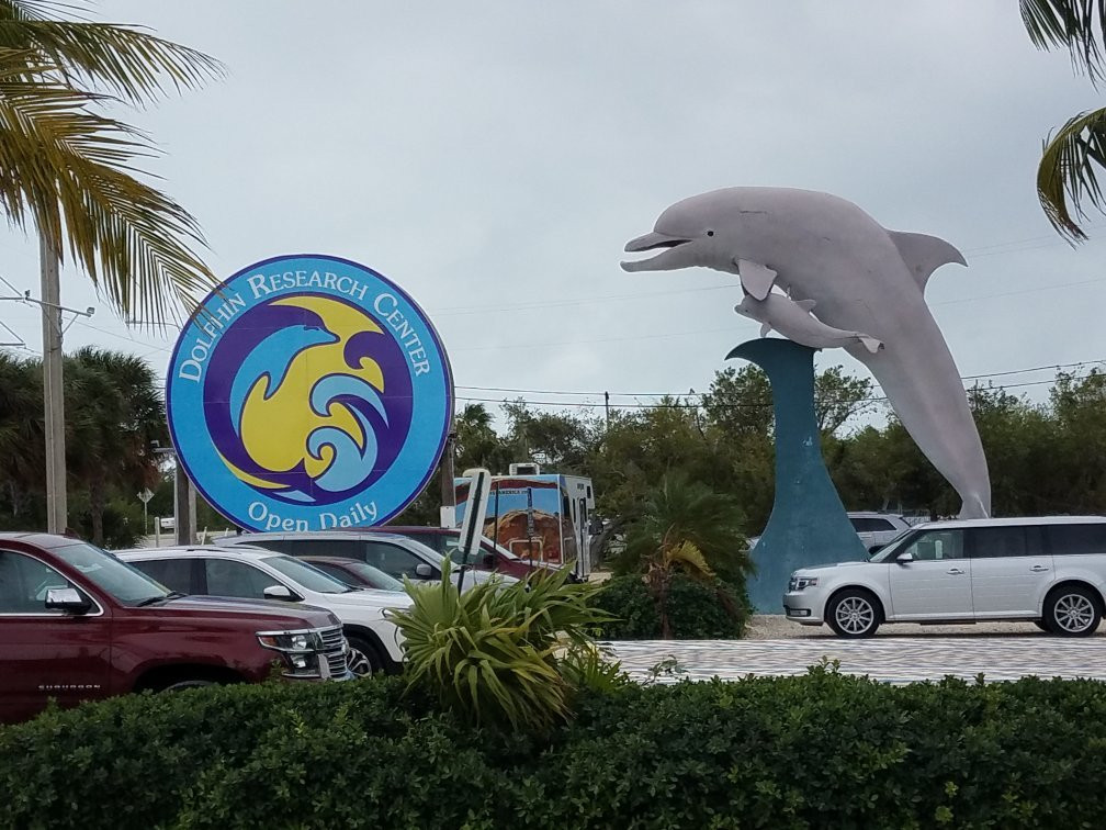 Dolphin Research Center景点图片