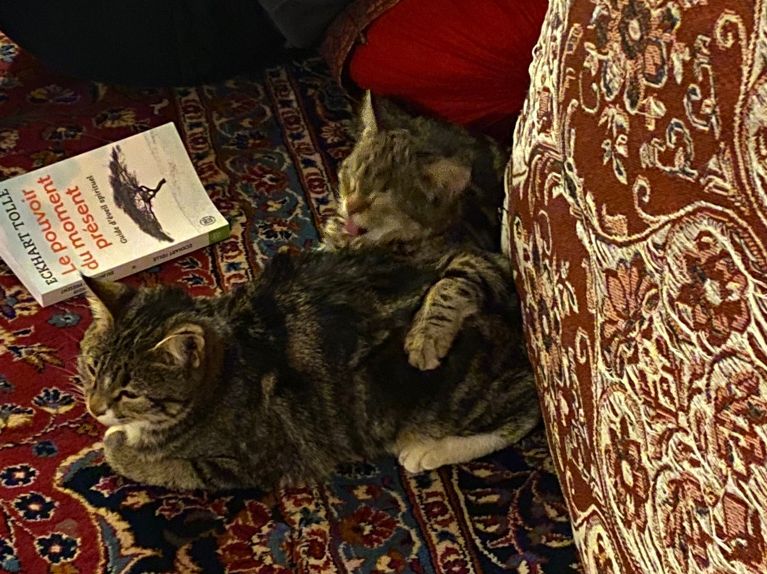 Ateshooni Guesthouse主图