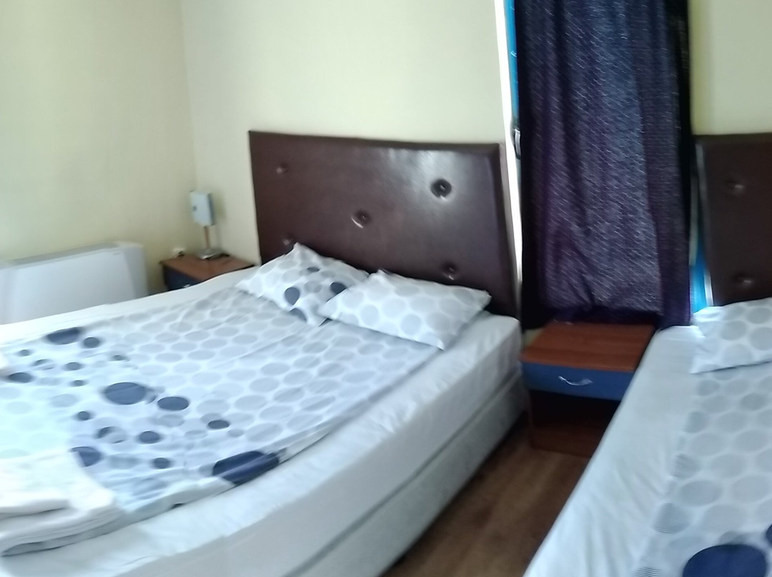 Hotel Fenix主图
