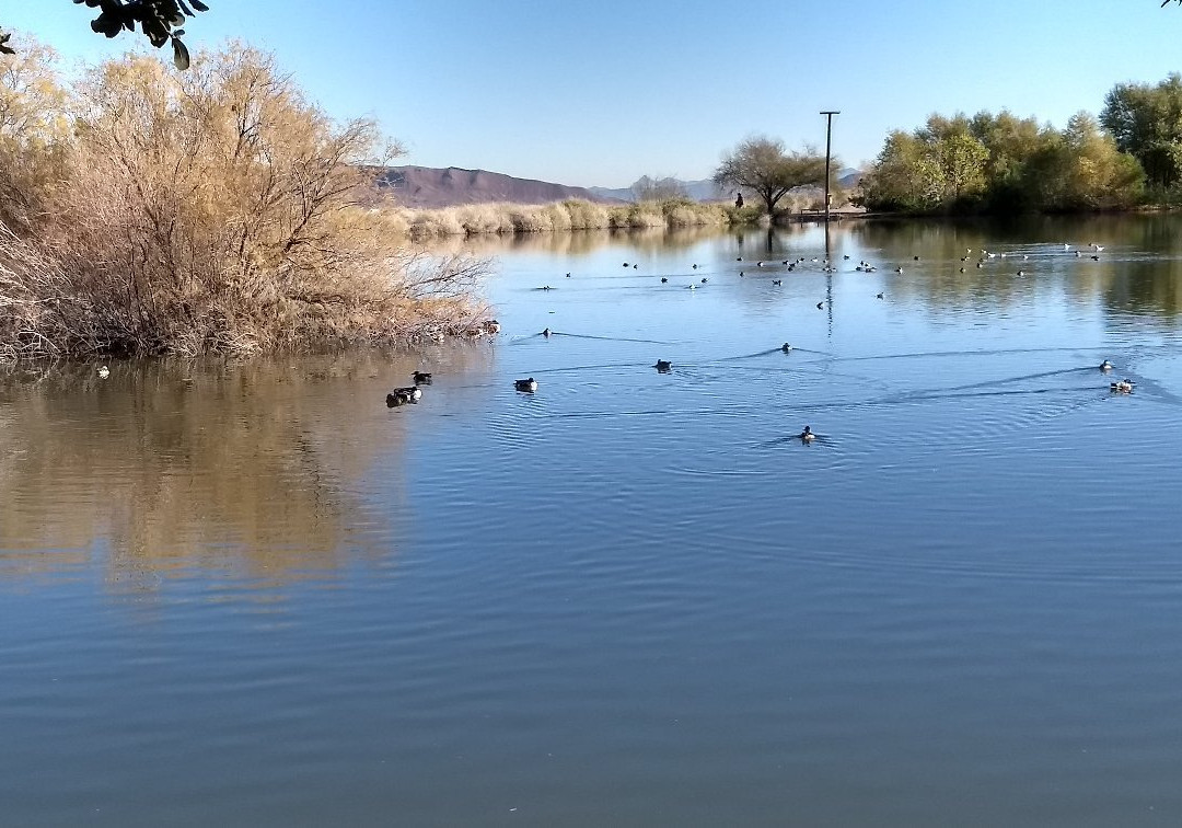 Henderson Bird Viewing Preserve-亨德森必去景点