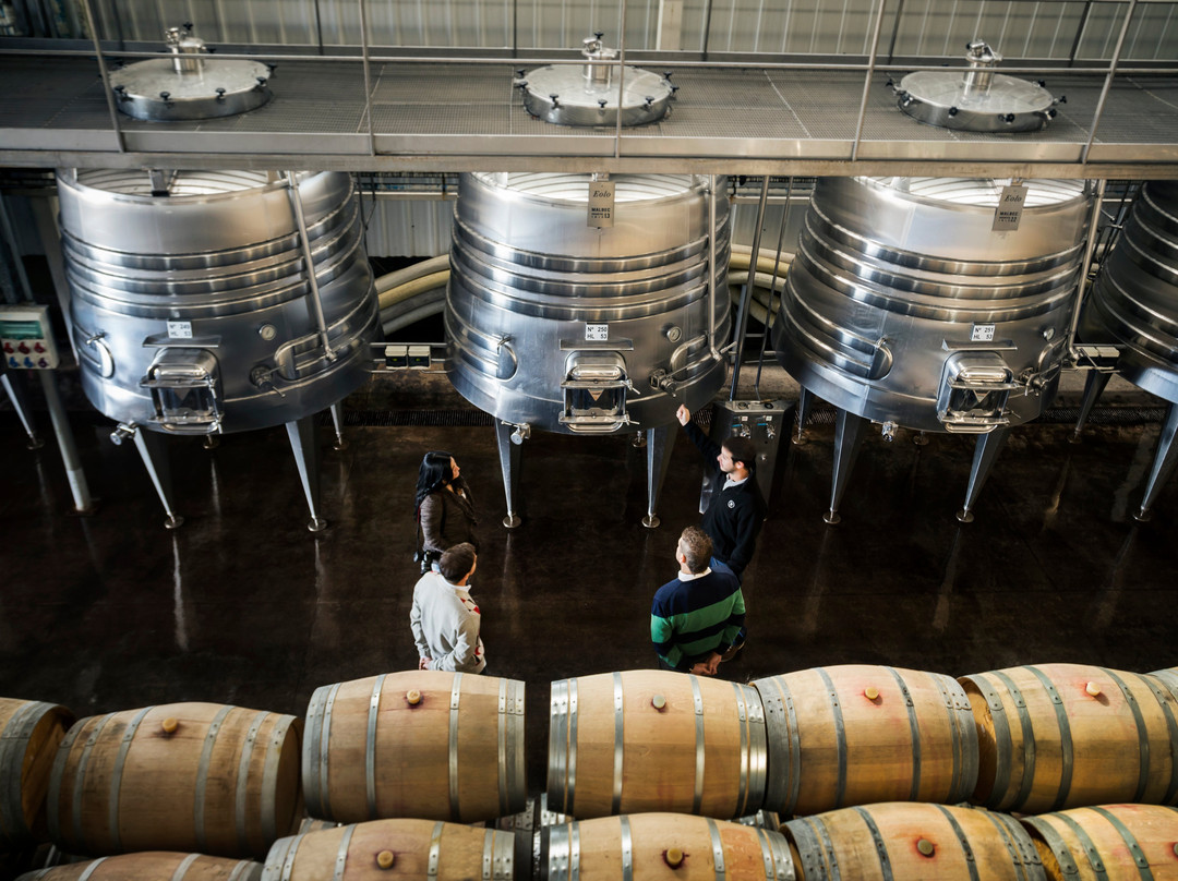 Bodega Trivento-Maipu必去景点