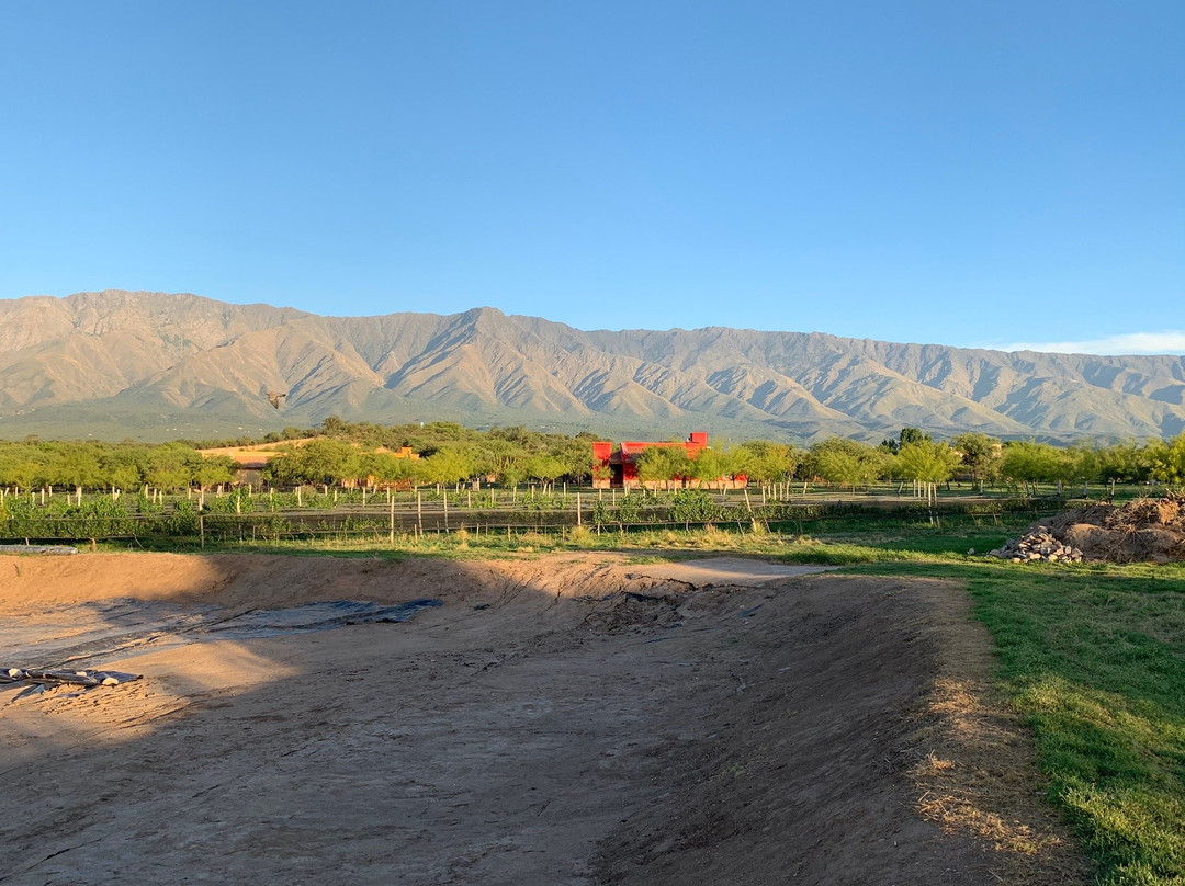 Posada Rural La Matilde主图