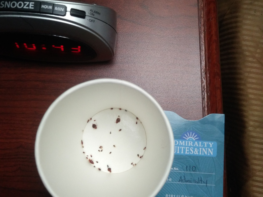 Admiralty Suites and Inn主图