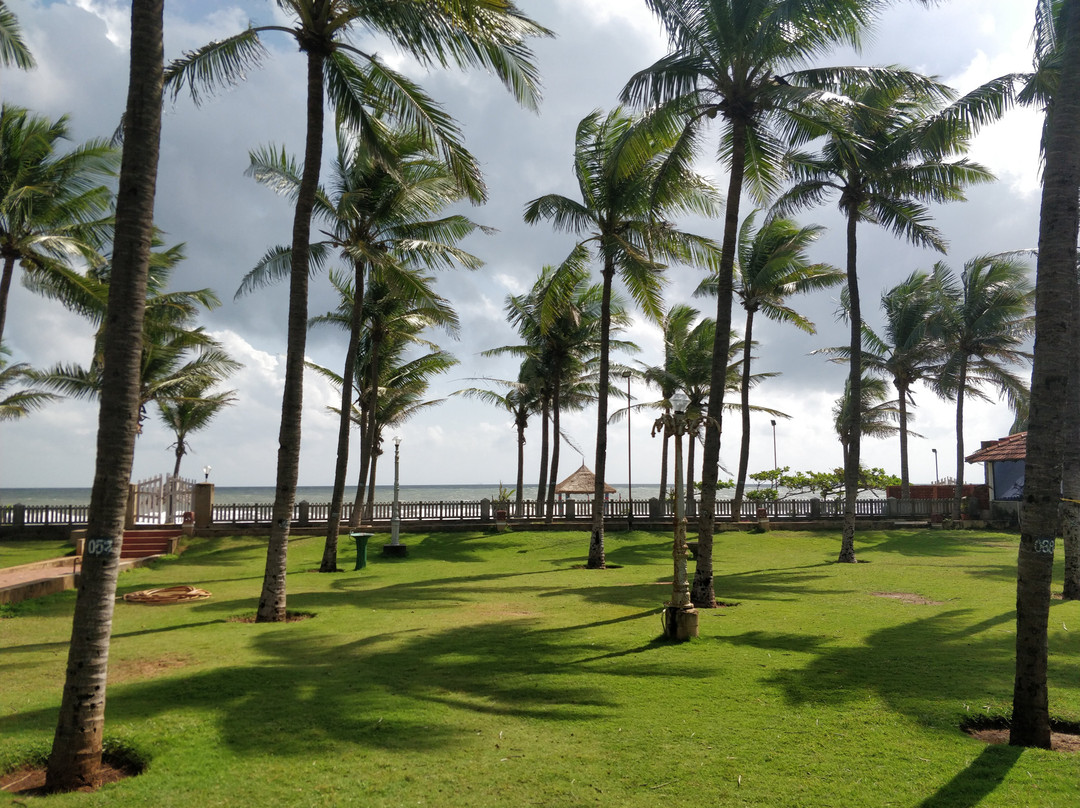 MGM Beach Resorts主图