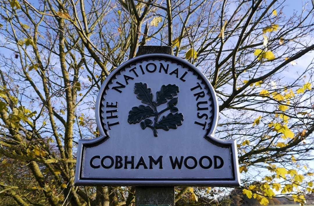 Cobham Wood And Mausoleum景点图片