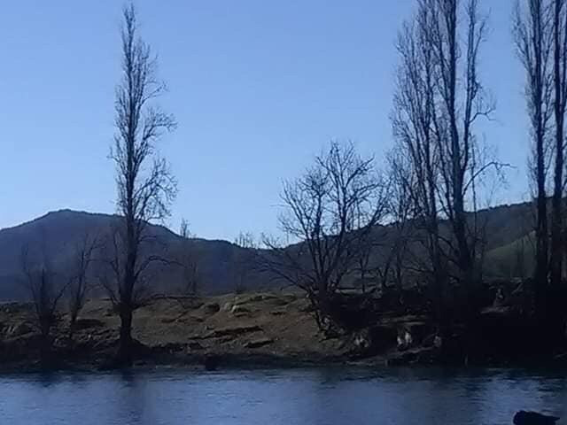 Burrowye Reserve景点图片