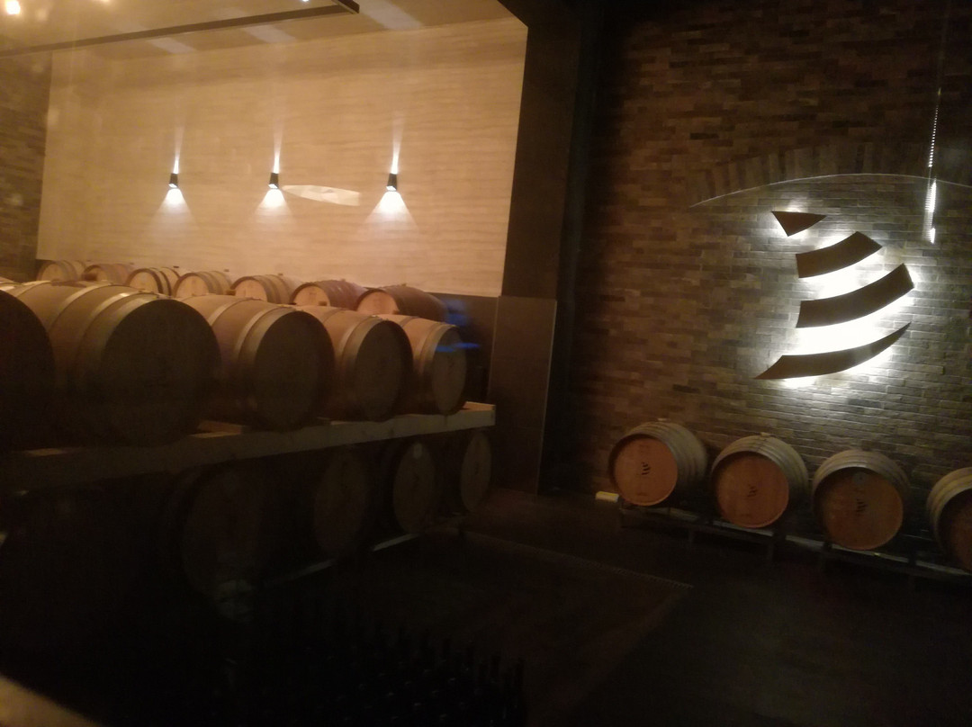 Deuric Winery景点图片