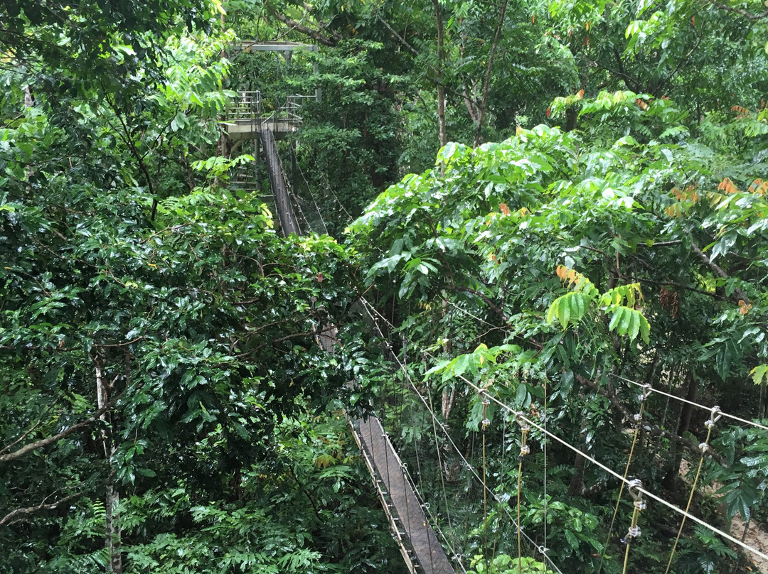 Falealupo Canopy Walk-萨瓦伊岛必去景点