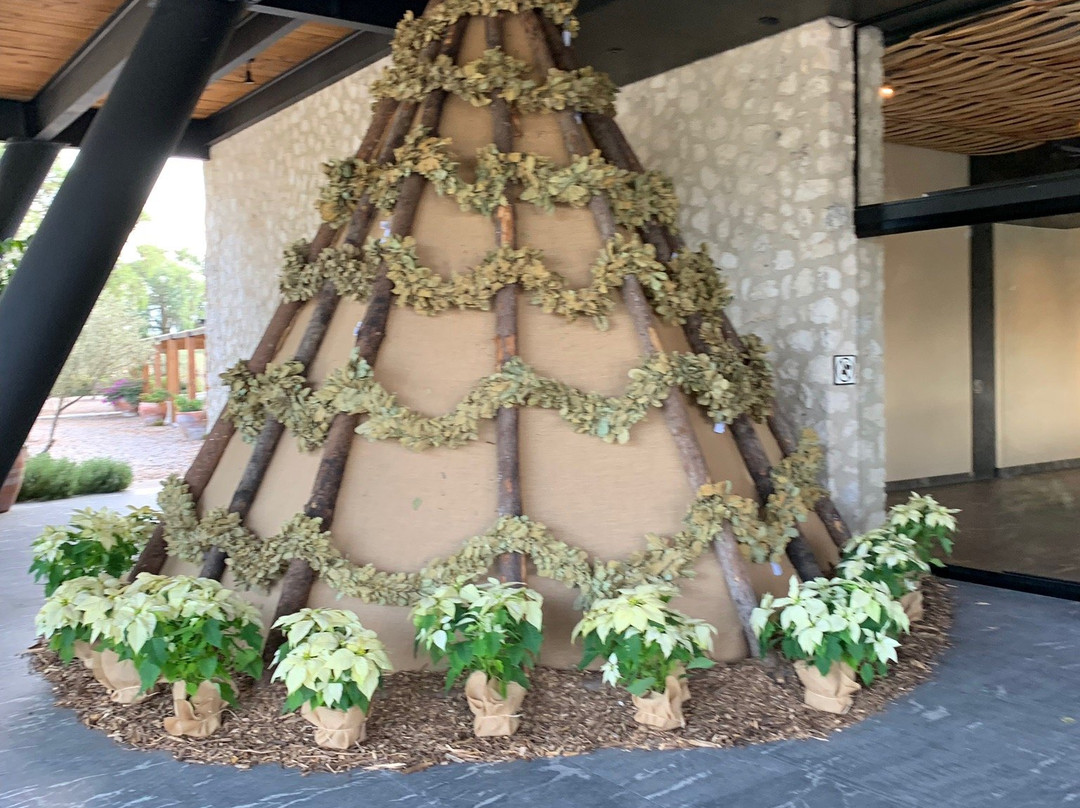 Don Chepe酒店住宿-Vinedos San Francisco