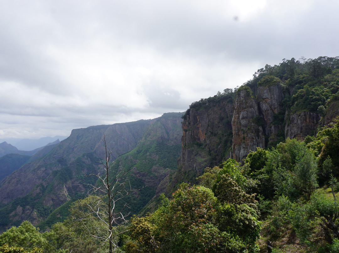 Pillar Rocks景点图片