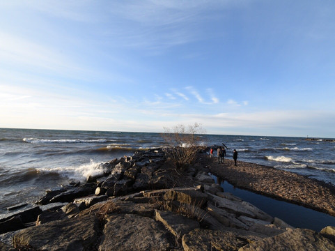 Webster Park-Webster必去景点