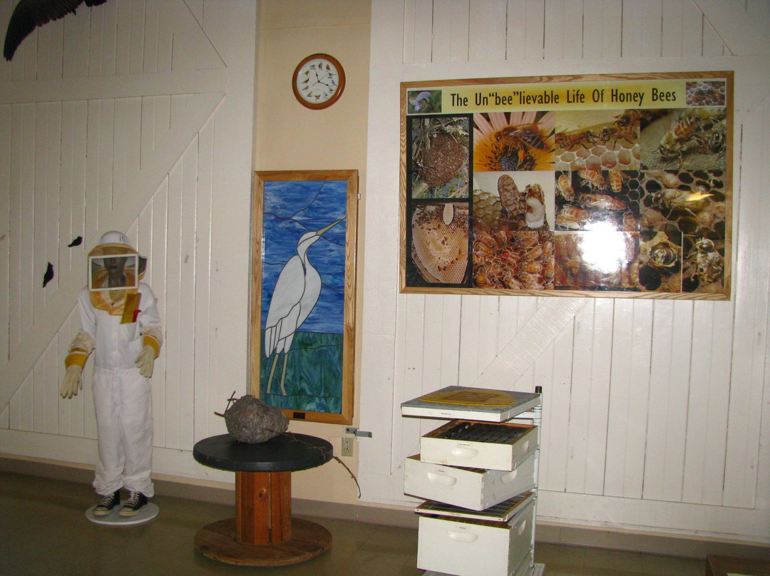 Mosquito Hill Nature Center-New London必去景点