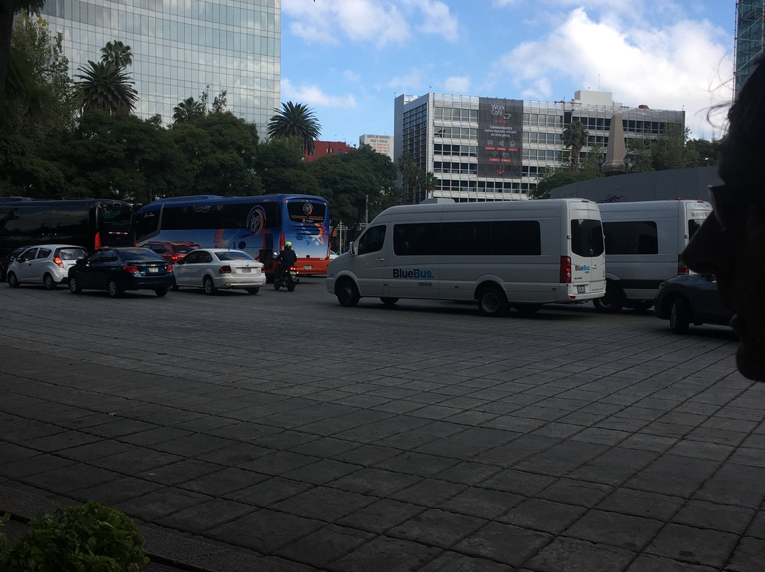 BlueBus.-墨西哥城必去景点