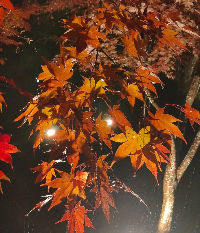 Tsukinoishi Momiji Park-长瀞町必去景点