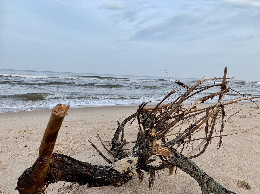 Pobierowo Beach-Pobierowo必去景点